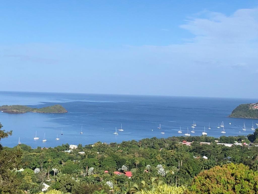 Calypso Bay Villa Буйянт Екстериор снимка